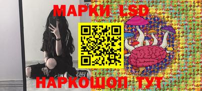 дмт Кинель