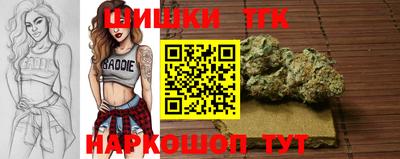 дмт Кинель