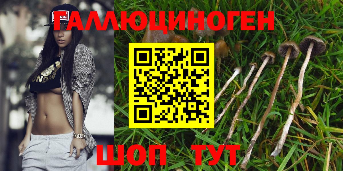 Псилоцибиновые грибы прущие грибы  Псилоцибиновые грибы Magic Shrooms  где можно купить наркотик  Вход с VPN  Костомукша 